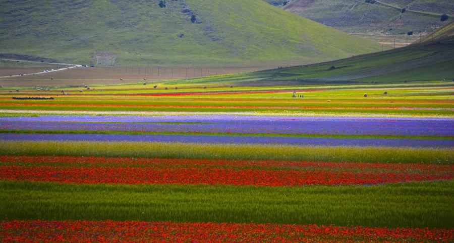 La Fiorita di Castelluccio di Norcia &mdash; place of inspiration for ceramic decoration